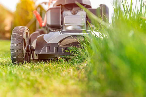 Lawn maintenance